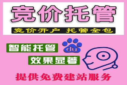 竞价广告的创意与执行：经典案例剖析